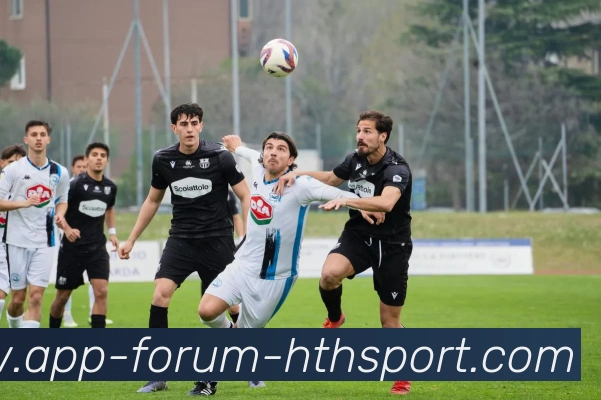 华体会平台生态图